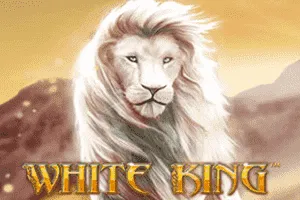 Playtech : White King - SOLIDPLAY99