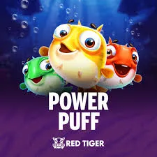 Power Puff - SOLIDPLAY99