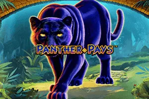 Playtech : Panther Pays - SOLIDPLAY99